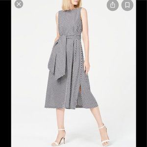 Anne Klein Gingham Sleeveless Midi Dress with Embroidered Flowers